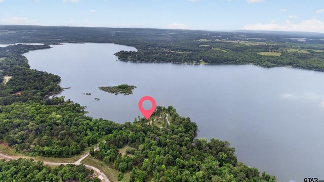 3101 Shadow Pine Dr, Larue, TX 75770