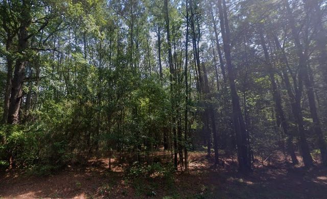 17727 Galaxy Boulevard, New Caney, TX 77357