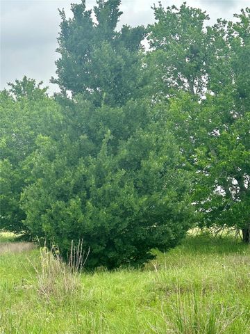 159 N Witte Rd Ranch NE, Bellville, TX 77418