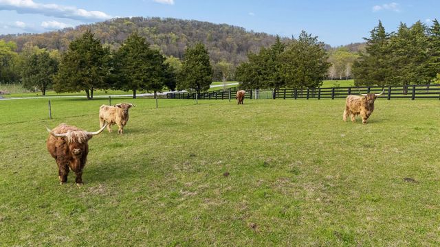 500 Coop Rd, Bell Buckle, TN 37020