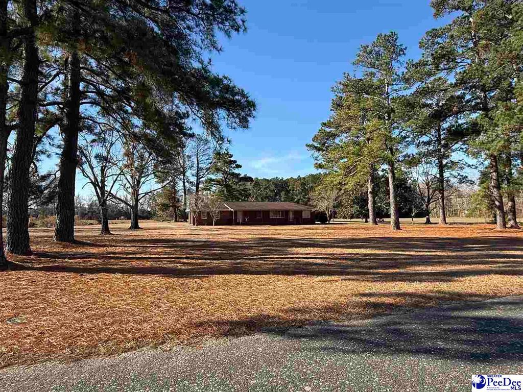 764 1st Oxtown Road, Scranton, SC 29591