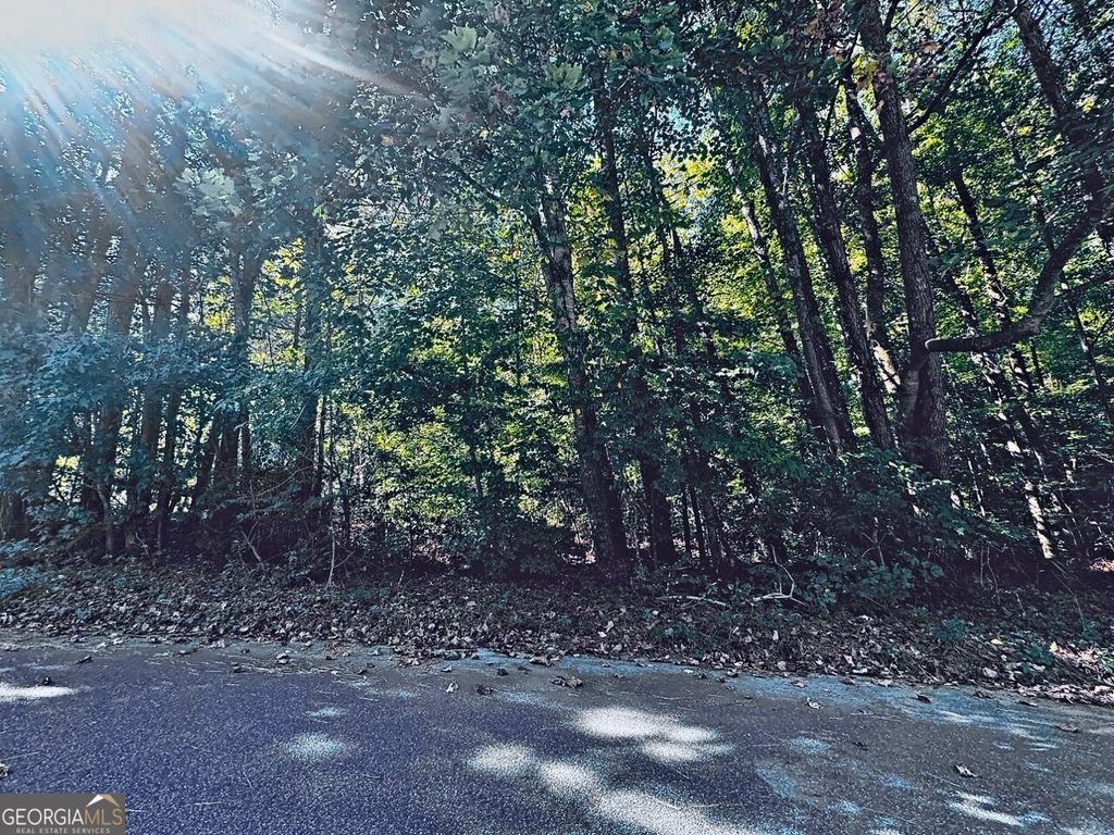 3349 Confederate Point, Canton, GA 30115 — photo 2