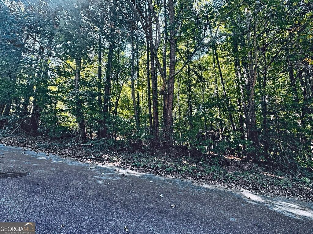 3349 Confederate Point, Canton, GA 30115 — photo 3