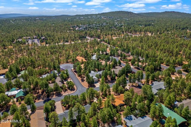 2041 W PINEVIEW Drive, Show Low, AZ 85901