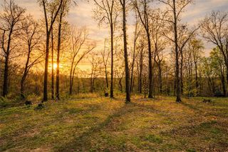 21722 Sibley Road, Sulphur Springs, AR 72768