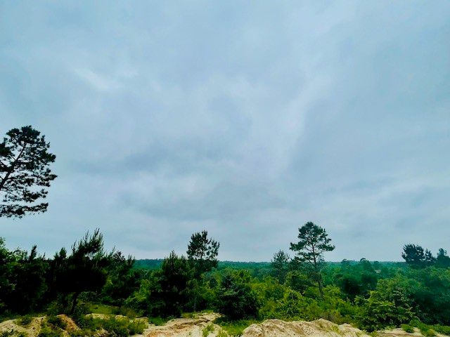 2665 County Road 3940, Mineola, TX 75773