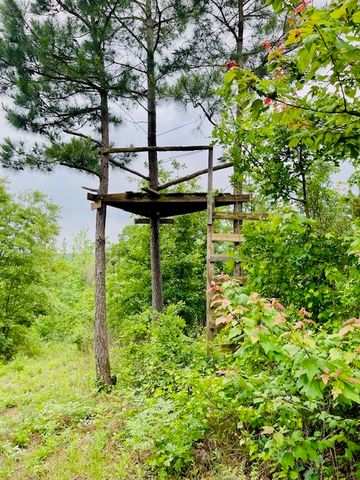 2665 County Road 3940, Mineola, TX 75773