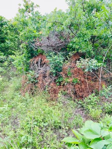 2665 County Road 3940, Mineola, TX 75773