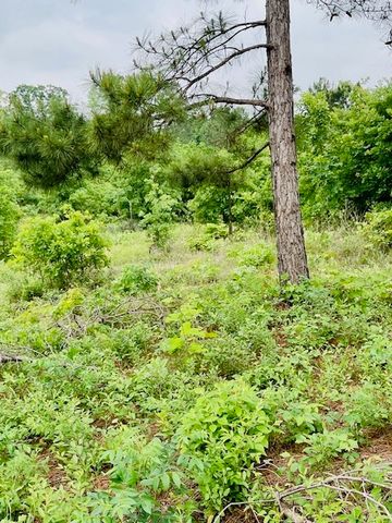 2665 County Road 3940, Mineola, TX 75773