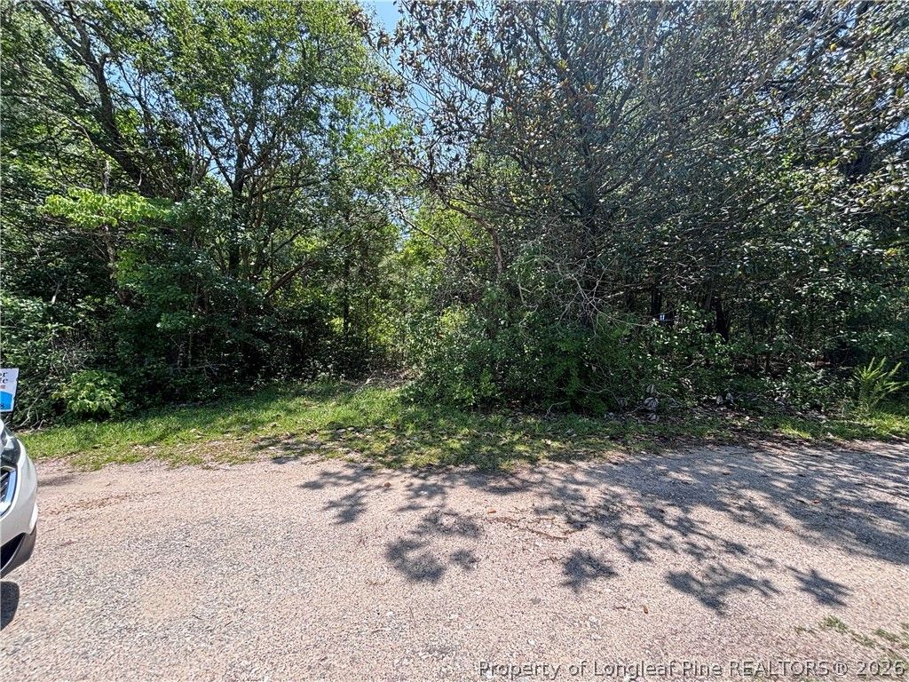 Stevens Street, Raeford, NC 28376 — photo 5