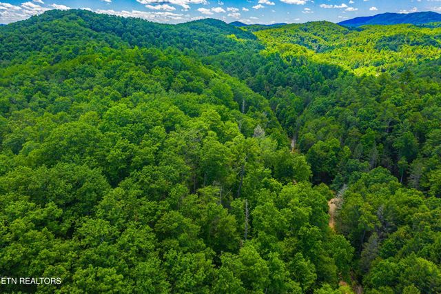 Yellow Breeches Rd, Cosby, TN 37722