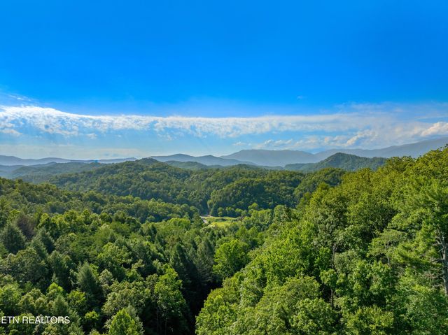 Yellow Breeches Rd, Cosby, TN 37722