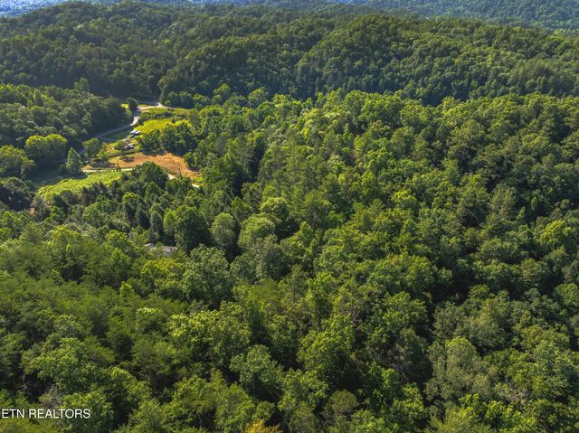 Yellow Breeches Rd, Cosby, TN 37722