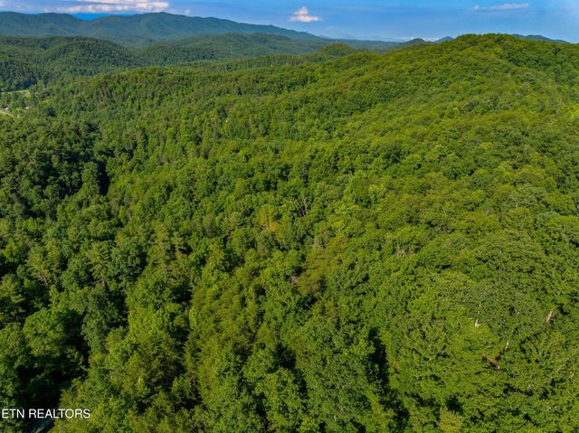 Yellow Breeches Rd, Cosby, TN 37722