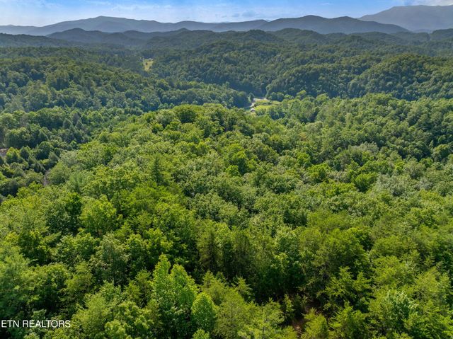 Yellow Breeches Rd, Cosby, TN 37722