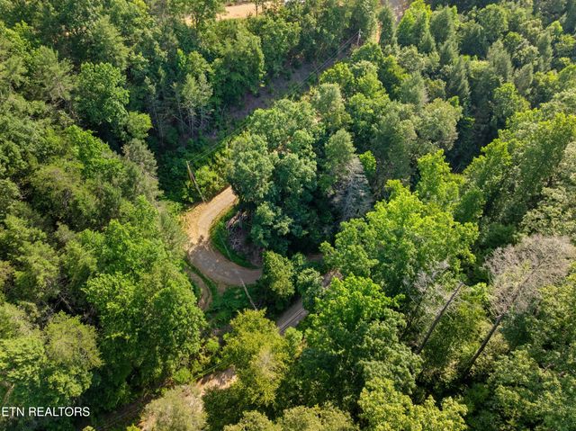Yellow Breeches Rd, Cosby, TN 37722