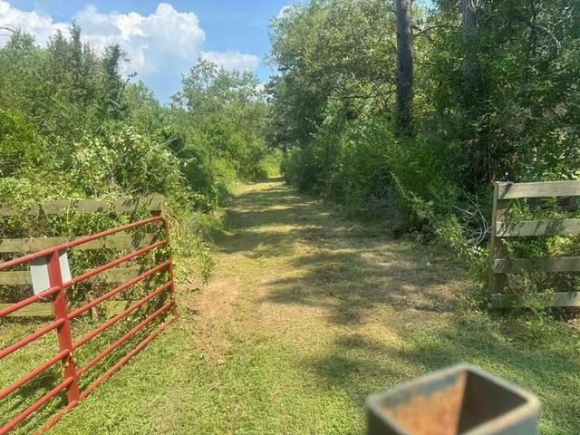 TBD Fm-223, Shepherd, TX 77371