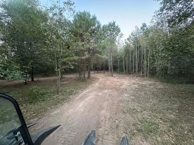 TBD Fm-223, Shepherd, TX 77371