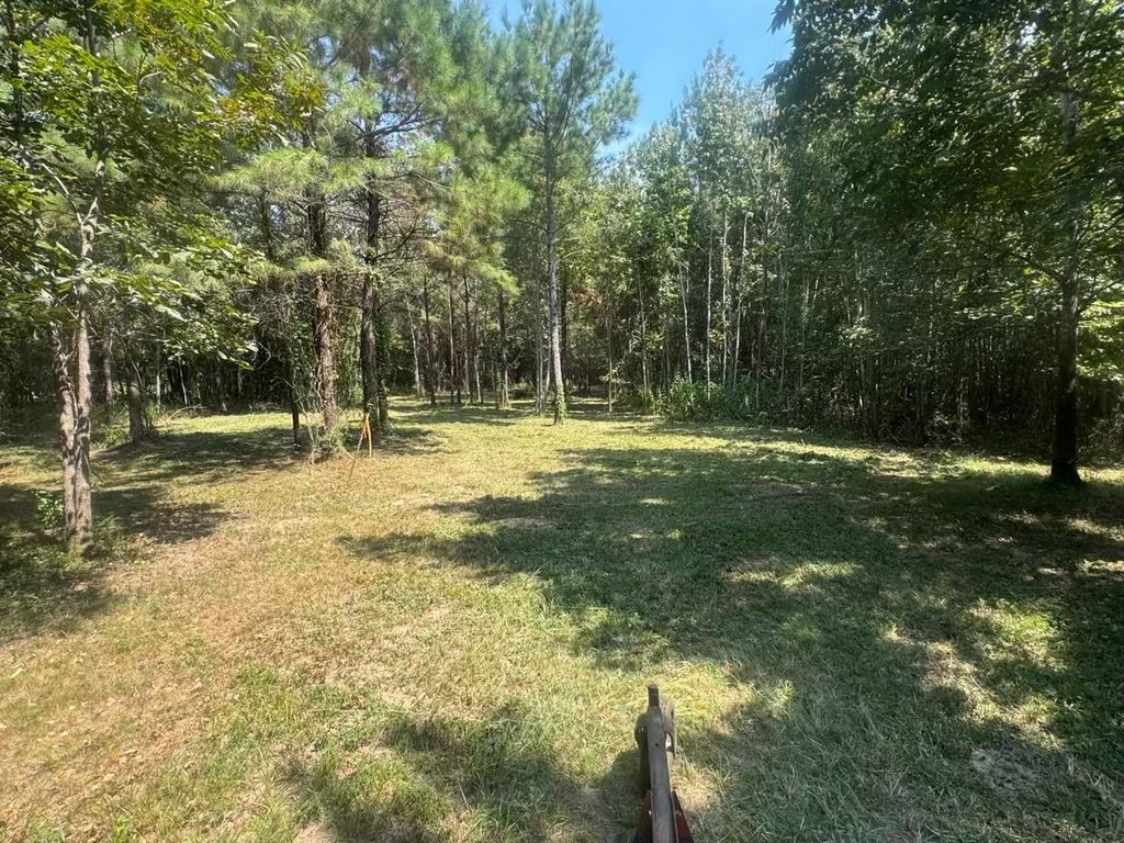 TBD Fm-223, Shepherd, TX 77371