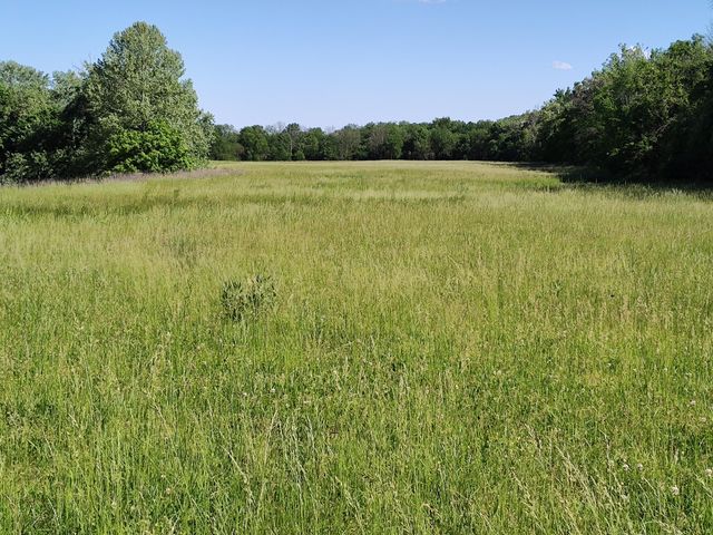 1898 E 332nd Road, Polk, MO 65727