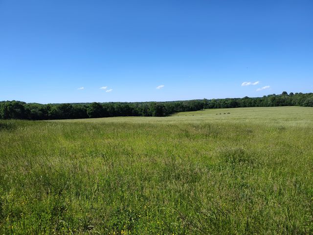 1898 E 332nd Road, Polk, MO 65727