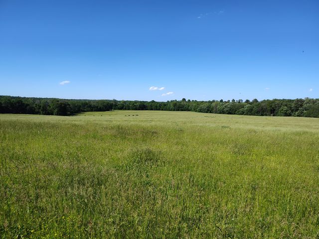 1898 E 332nd Road, Polk, MO 65727