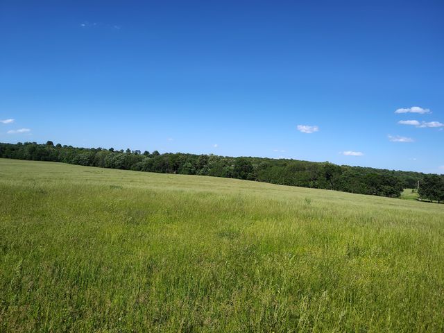 1898 E 332nd Road, Polk, MO 65727