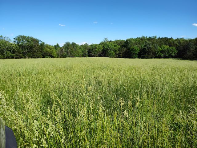 1898 E 332nd Road, Polk, MO 65727