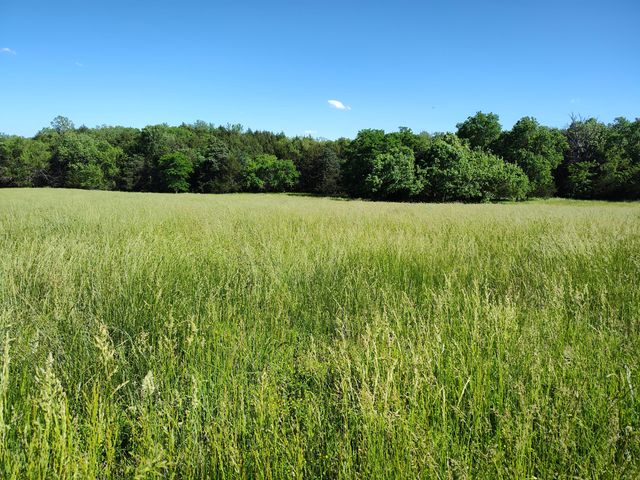 1898 E 332nd Road, Polk, MO 65727