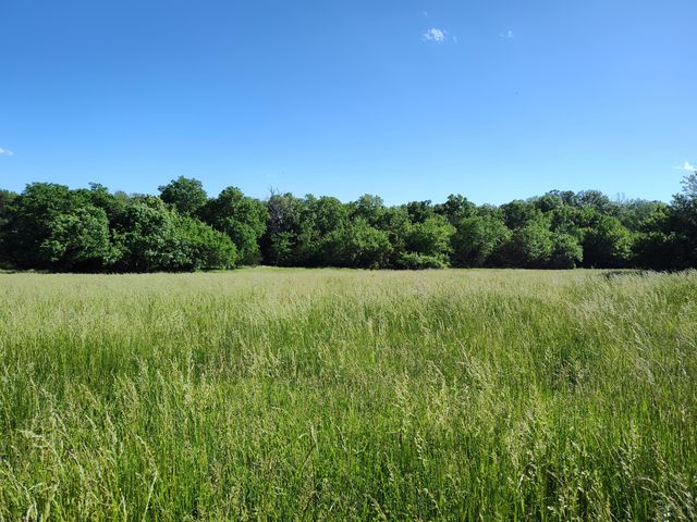 1898 E 332nd Road, Polk, MO 65727