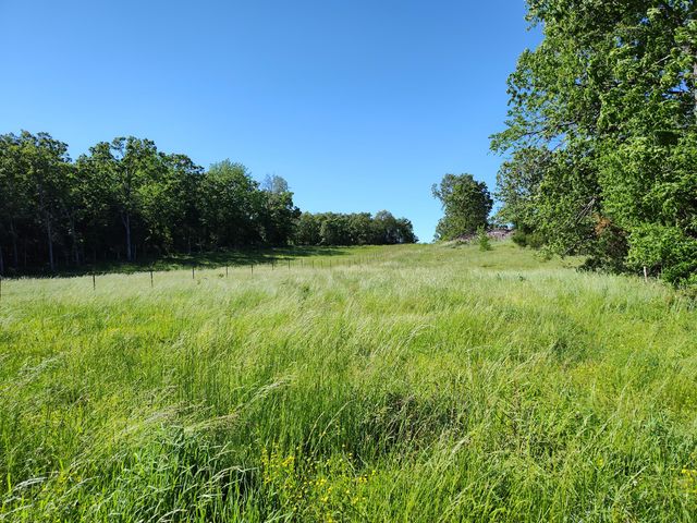 1898 E 332nd Road, Polk, MO 65727