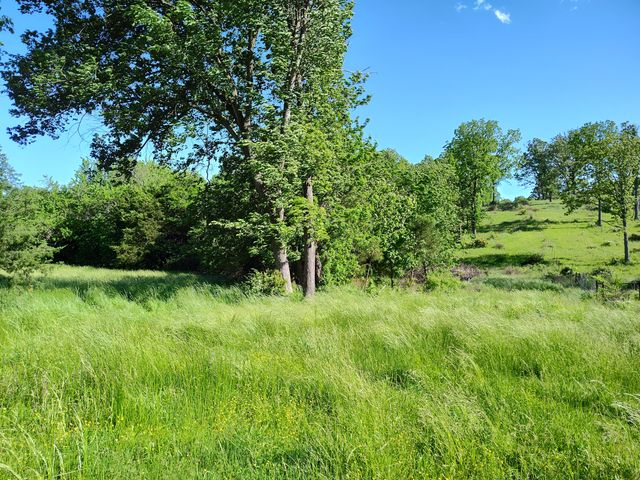 1898 E 332nd Road, Polk, MO 65727