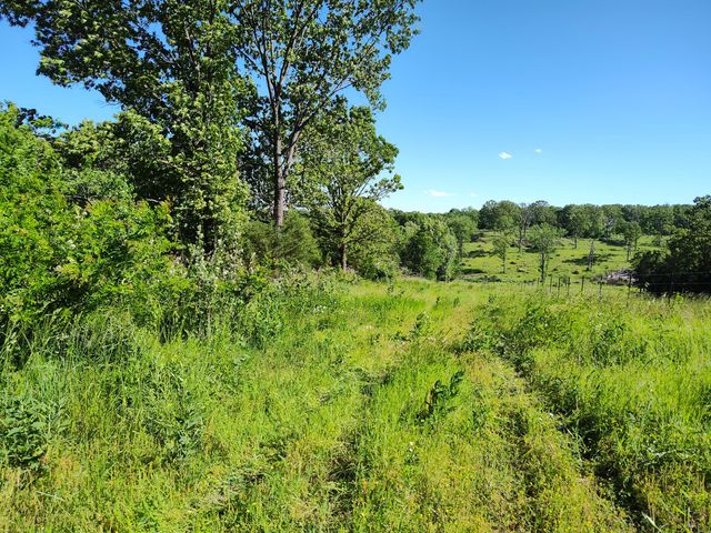 1898 E 332nd Road, Polk, MO 65727