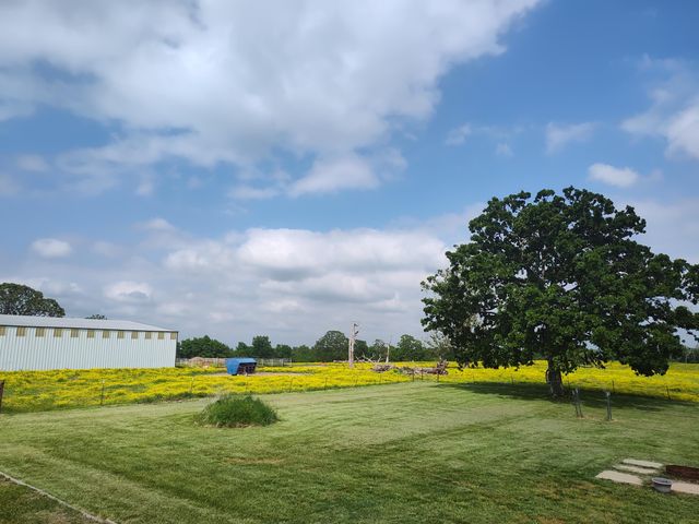 1898 E 332nd Road, Polk, MO 65727