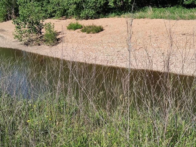 1898 E 332nd Road, Polk, MO 65727