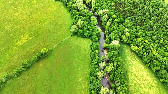 1898 E 332nd Road, Polk, MO 65727