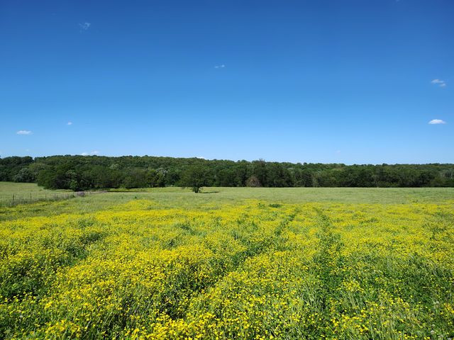 1898 E 332nd Road, Polk, MO 65727