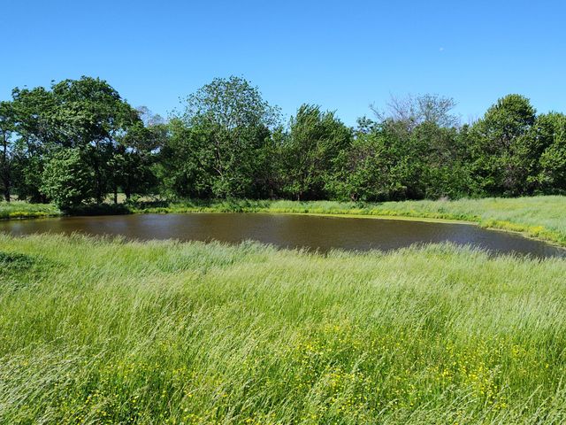 1898 E 332nd Road, Polk, MO 65727