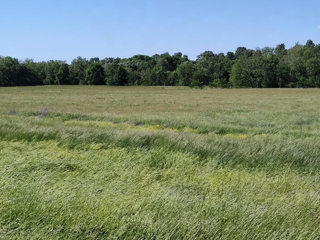 1898 E 332nd Road, Polk, MO 65727