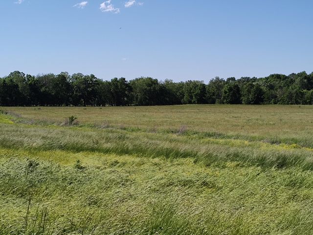 1898 E 332nd Road, Polk, MO 65727