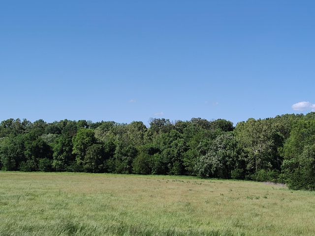 1898 E 332nd Road, Polk, MO 65727