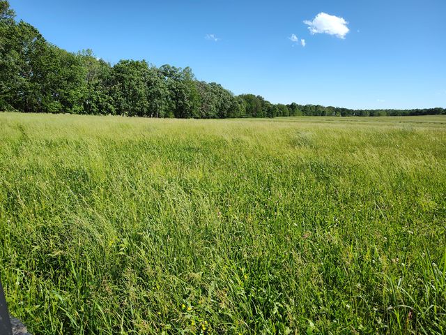 1898 E 332nd Road, Polk, MO 65727