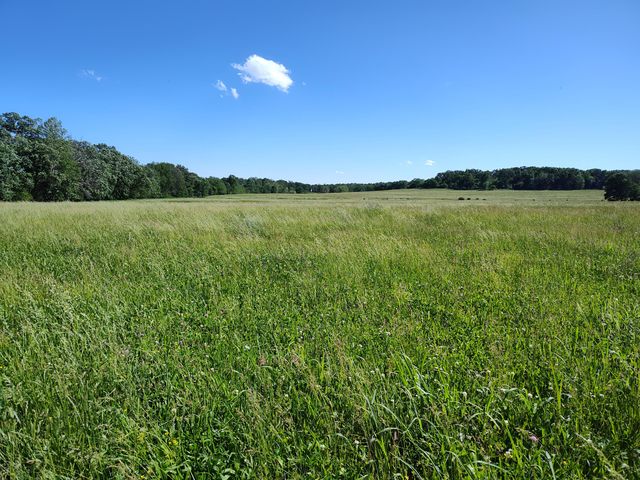 1898 E 332nd Road, Polk, MO 65727