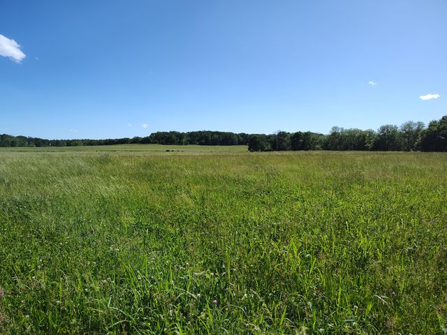 1898 E 332nd Road, Polk, MO 65727