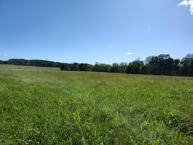 1898 E 332nd Road, Polk, MO 65727