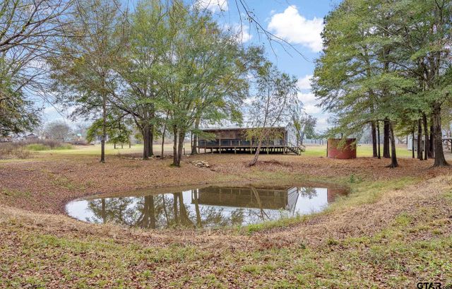 11063 CR 2298, Tyler, TX 75707