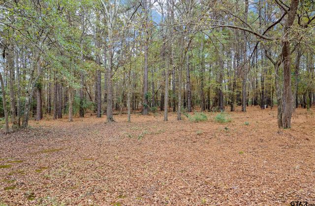 11063 CR 2298, Tyler, TX 75707