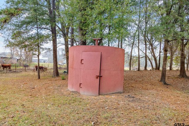 11063 CR 2298, Tyler, TX 75707