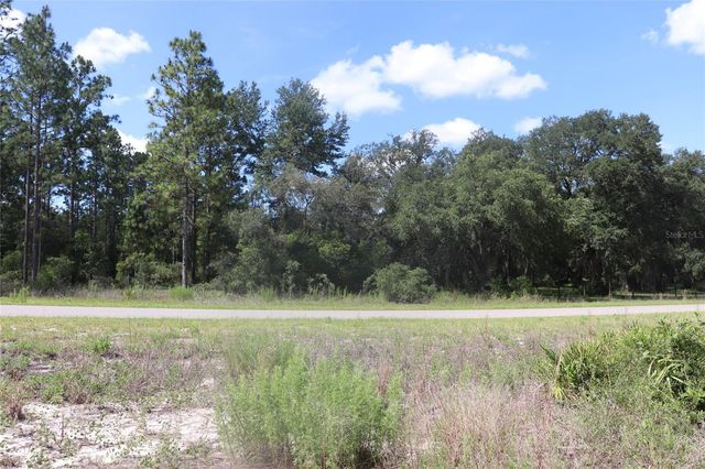 TBD SE 114TH PLACE, Dunnellon, FL 34431