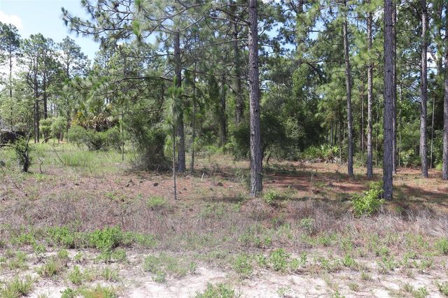 TBD SE 114TH PLACE, Dunnellon, FL 34431